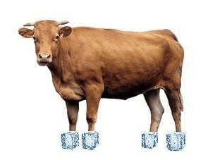 airdr0p_lab/15406/6174696812007067037