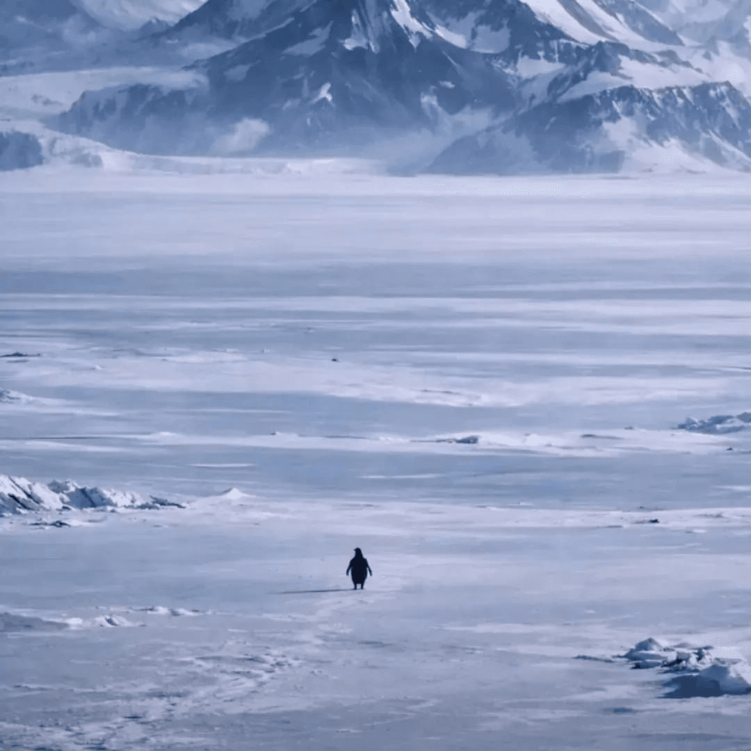 airdr0p_lab/16492/6316836418205977997