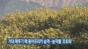 airdr0p_lab/17200/6140920493406621417