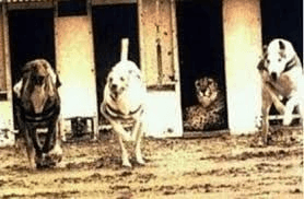 airdr0p_lab/17656/6221805520843116563