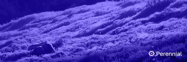 airdr0p_lab/9620/6064574490484000186