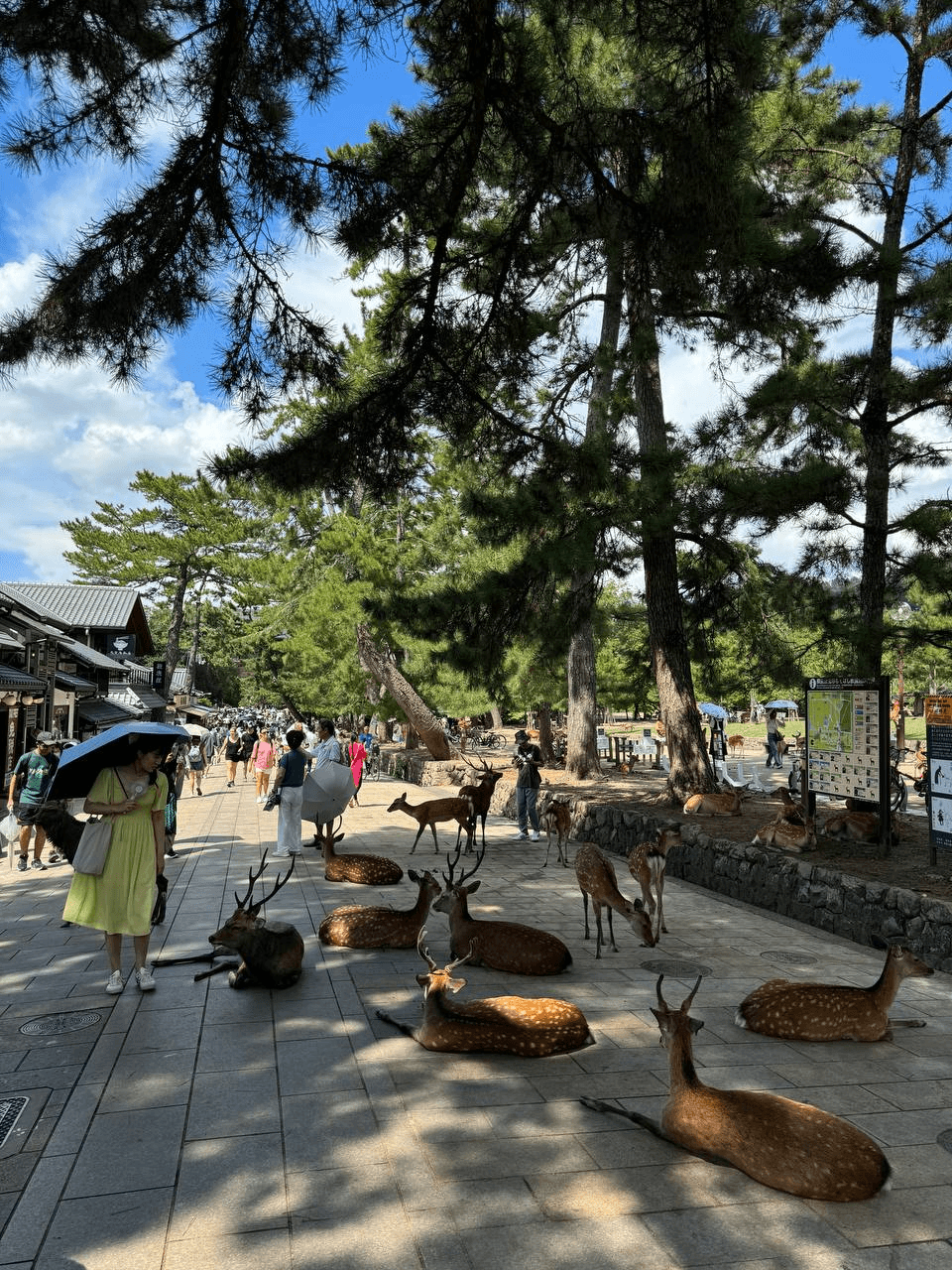 airdropAScenter/10777/6235369920913326132