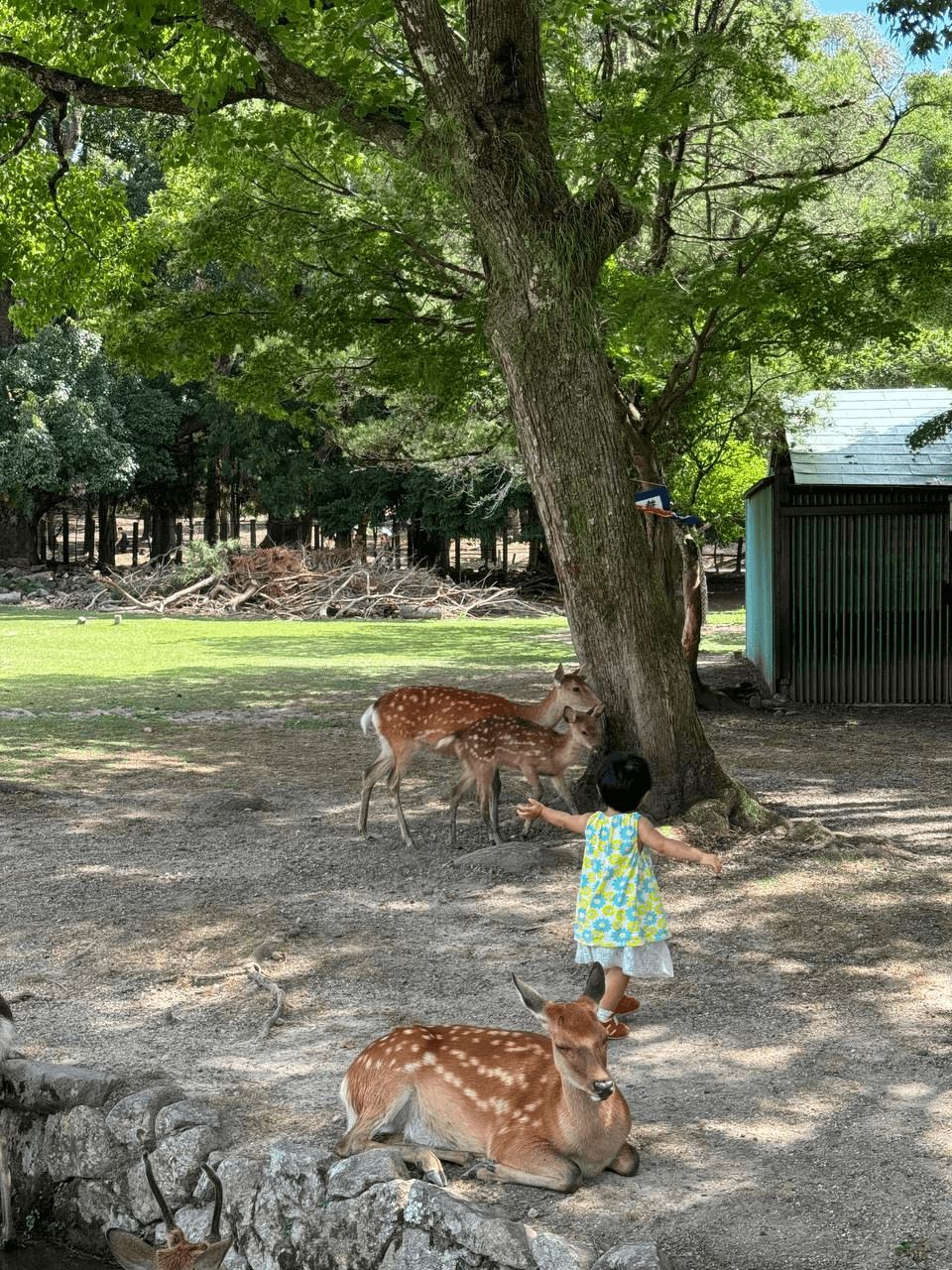 airdropAScenter/10778/6235369920913326133