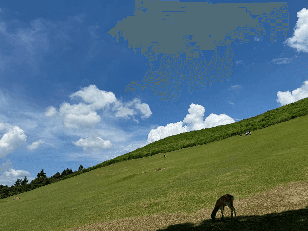 airdropAScenter/10779/6235369920913326134