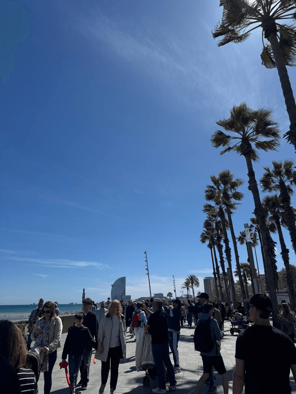 airdropAScenter/13070/6064316685072058235