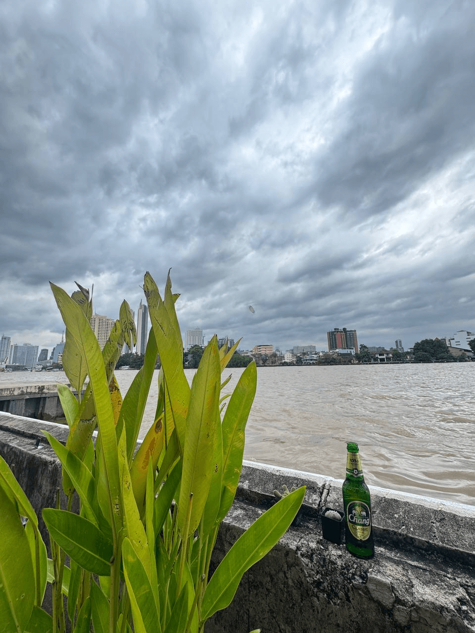 airdropAScenter/14773/6125300066718255993