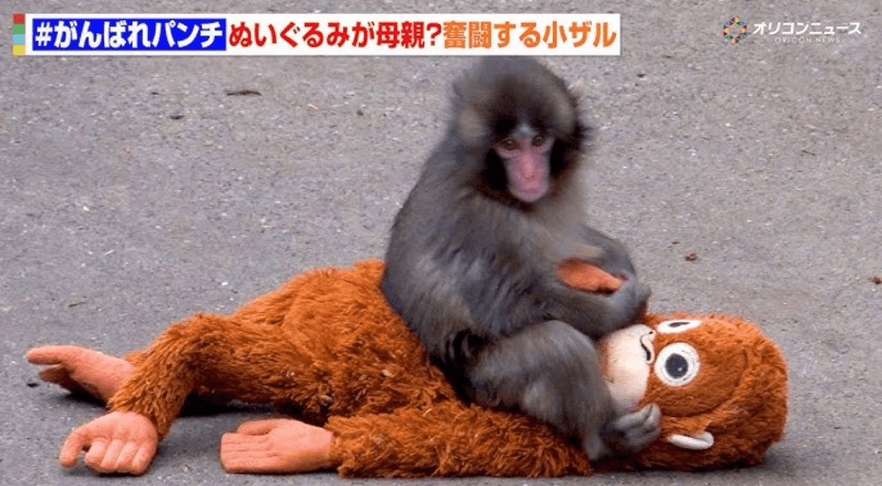 airdropAScenter/15295/6107425624013081830