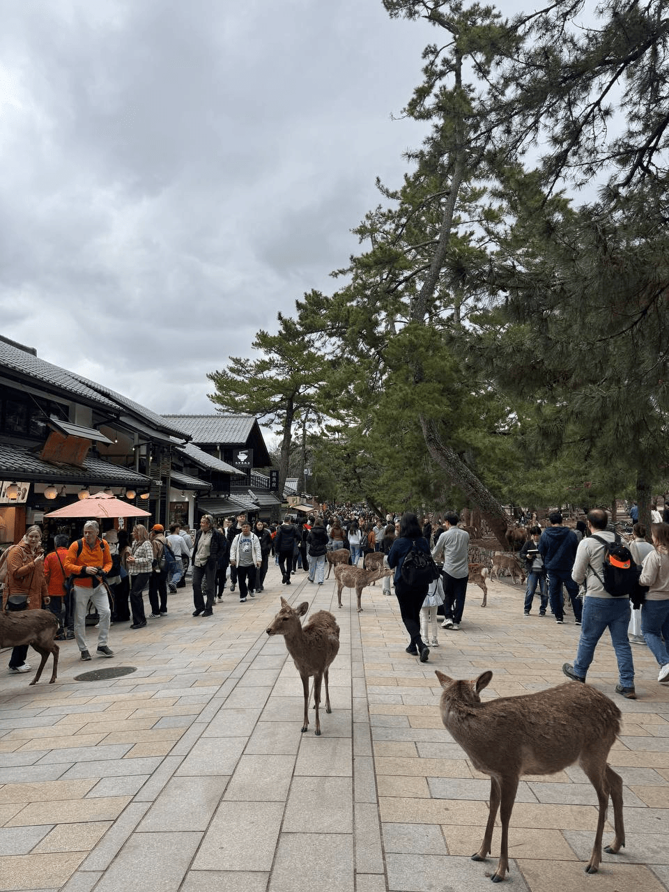 airdropAScenter/15437/6208414259490786994