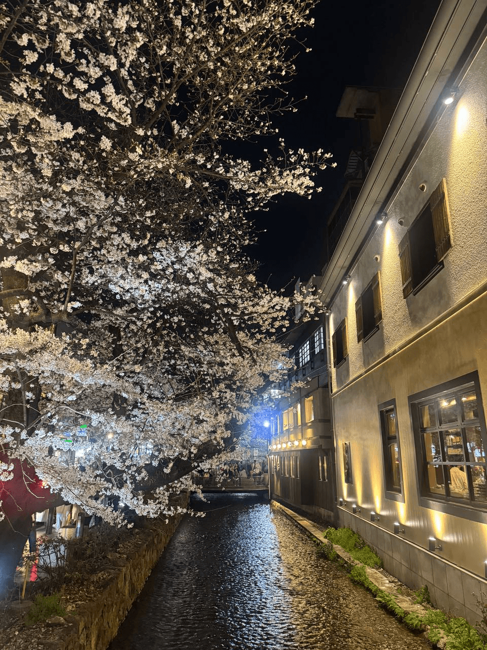 airdropAScenter/15453/6212755822886981246