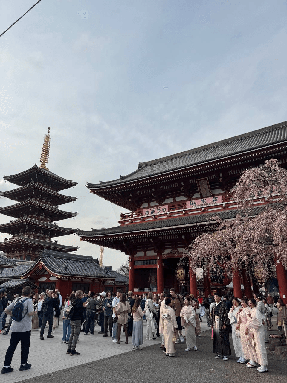 airdropAScenter/15465/6219984635098238591