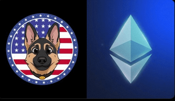 blockmedia/101064/6237903341736365078