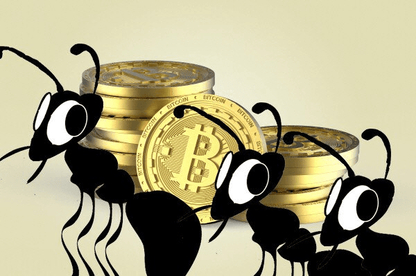 blockmedia/104247/6089237773249351039