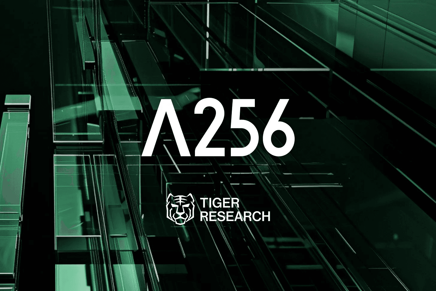 blockmedia/106253/6181399370465480133