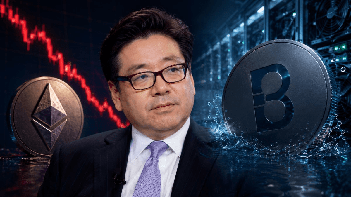 blockmedia/113832/6082473818233442759