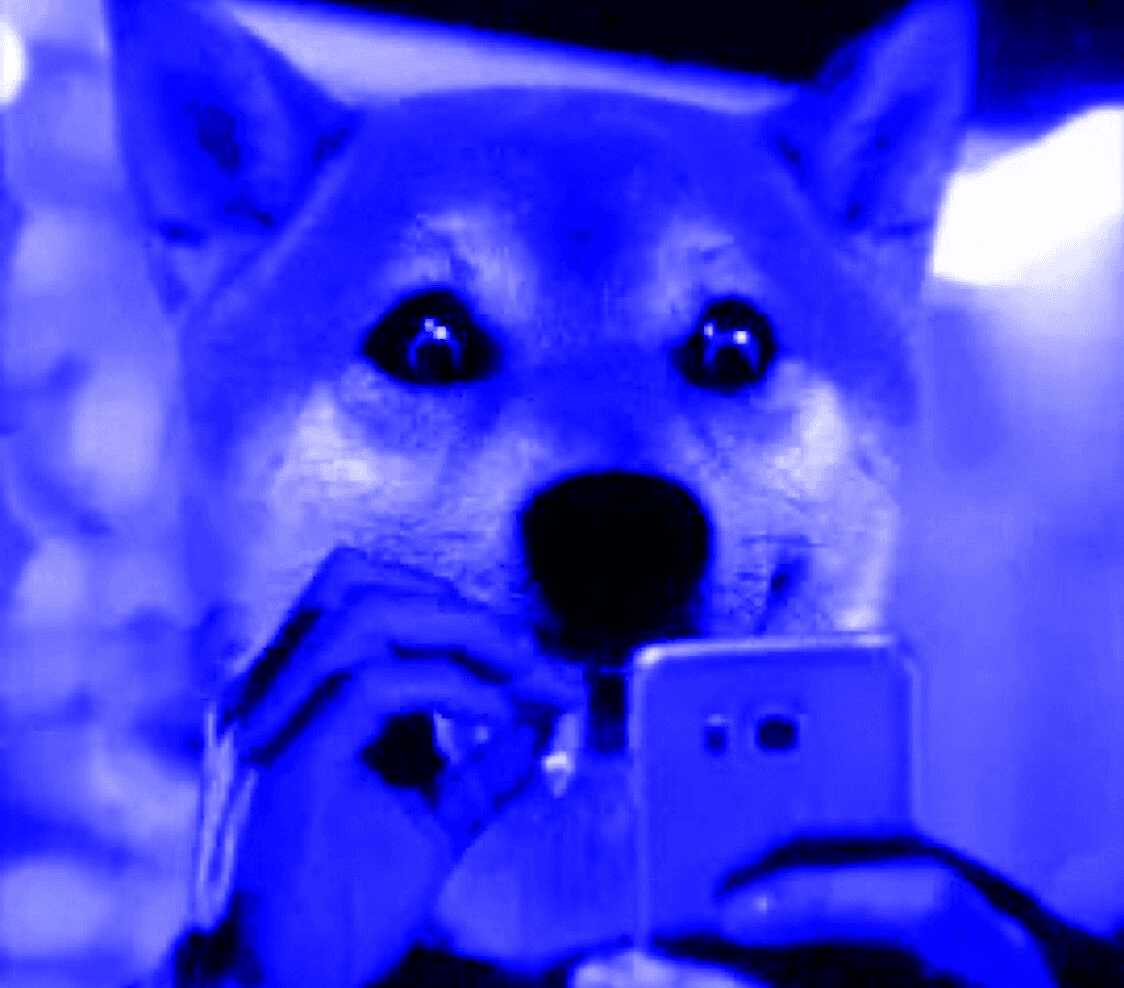 blockmedia/85280/5810934526803818636