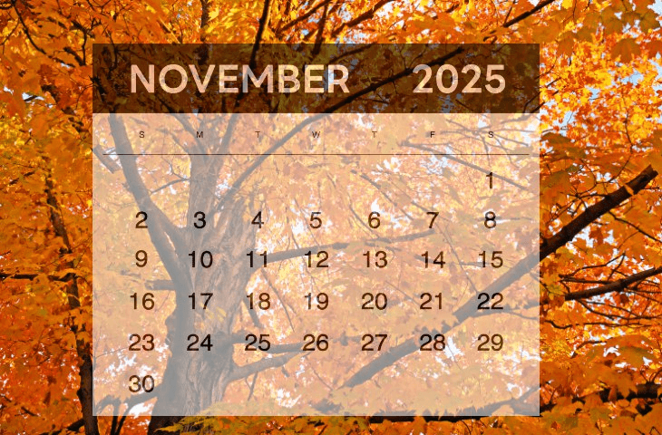 blockmedia/97792/6068925872179186588