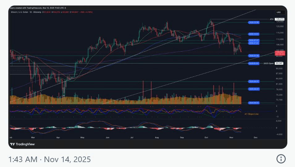 blockmedia/98531/6102391741953543099