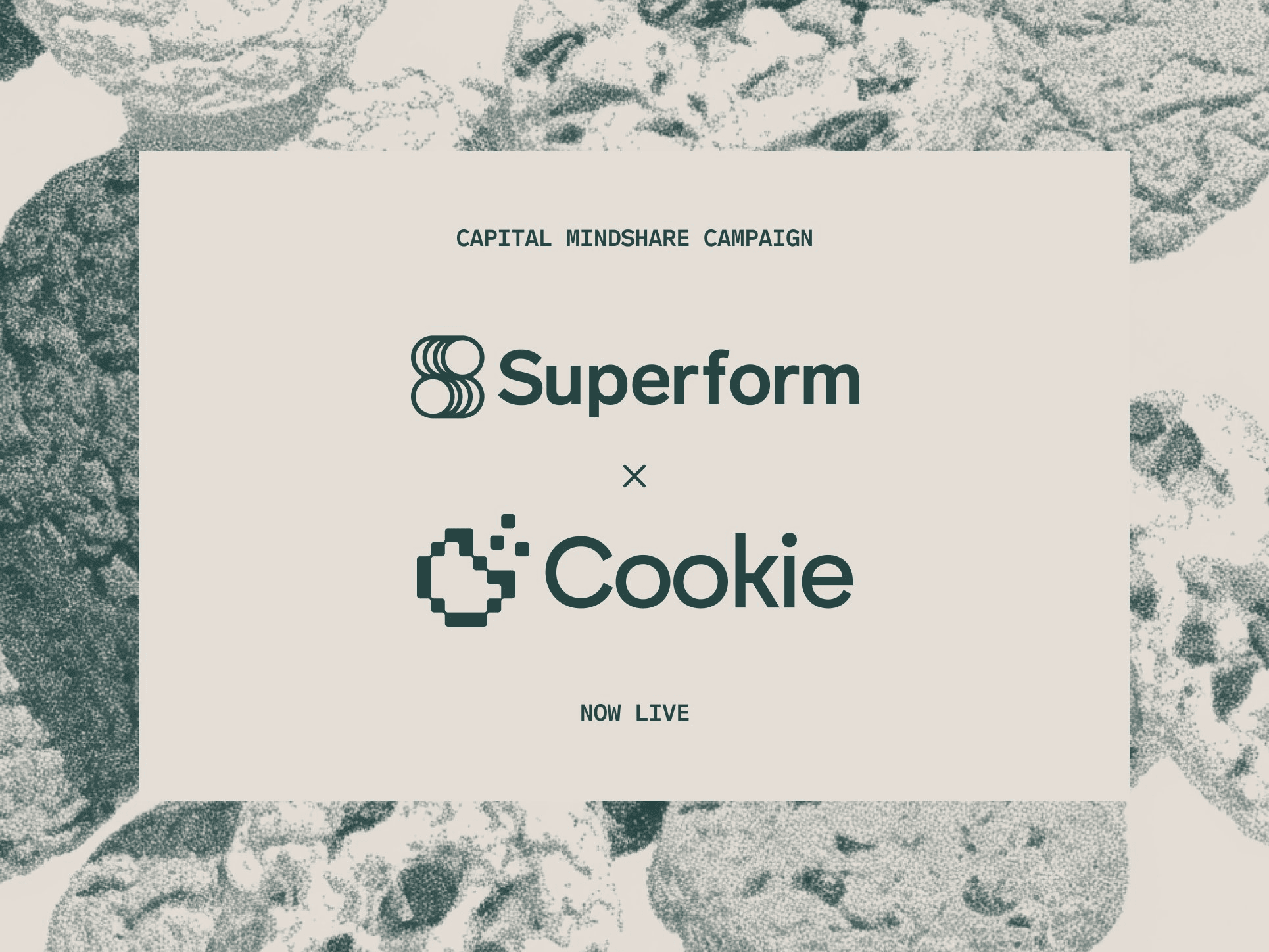 blockmedia/98539/6102391741953543173