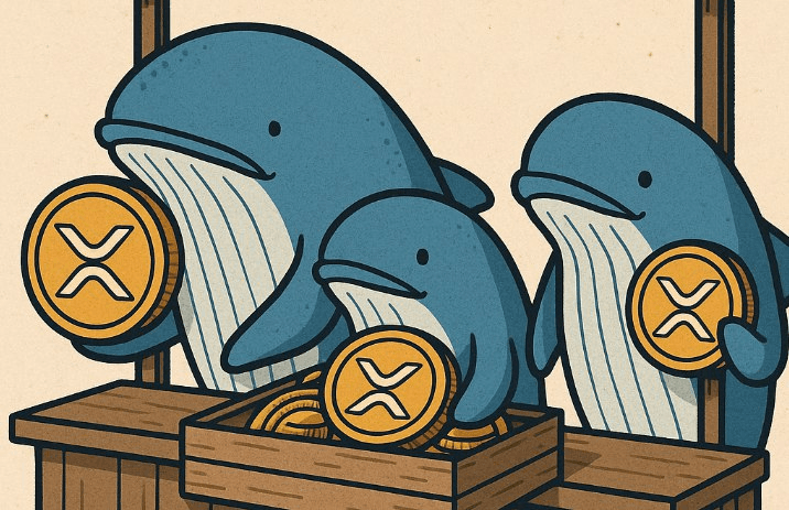 blockmedia/98677/6332096243735137182