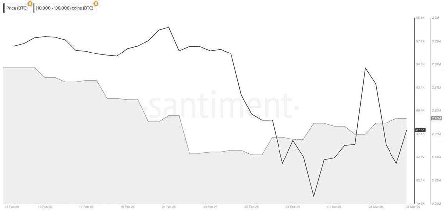 chavoonnam/29868/6215098005988687993