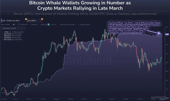 chavoonnam/30321/6276208634627213047