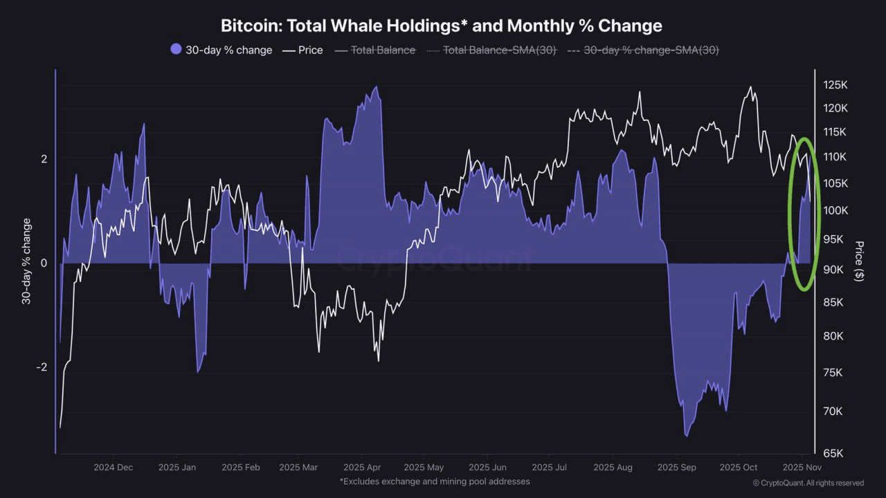 chavoonnam/34299/6084439775088675961