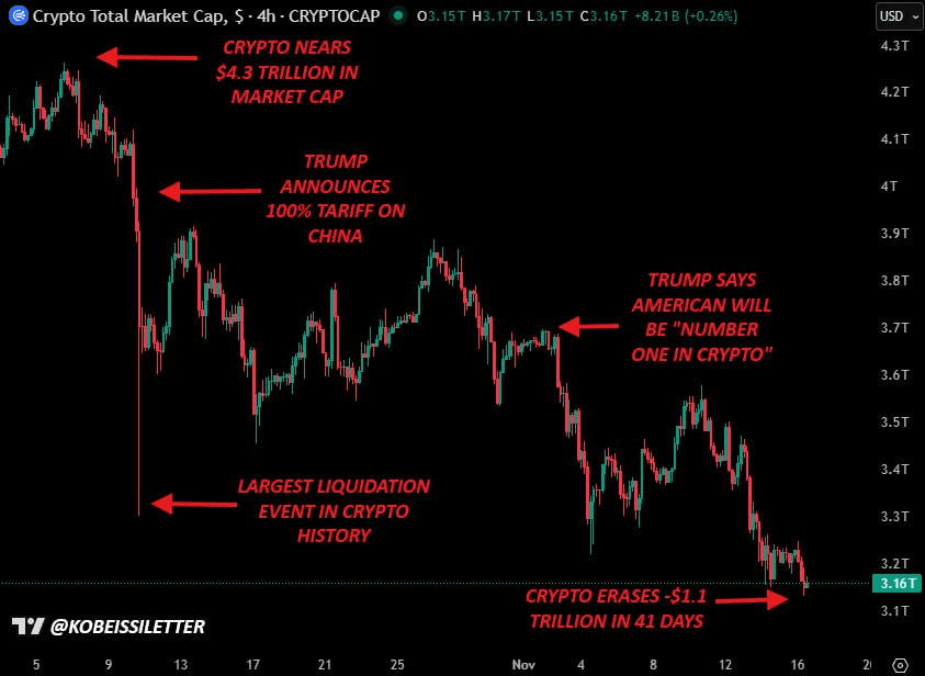 chavoonnam/34428/6113668771294677930