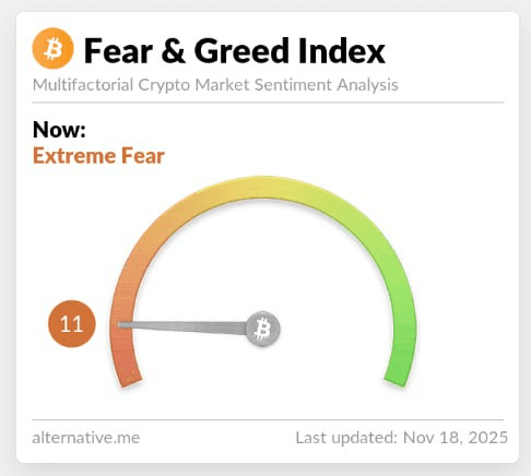 chavoonnam/34435/6116054578382965521
