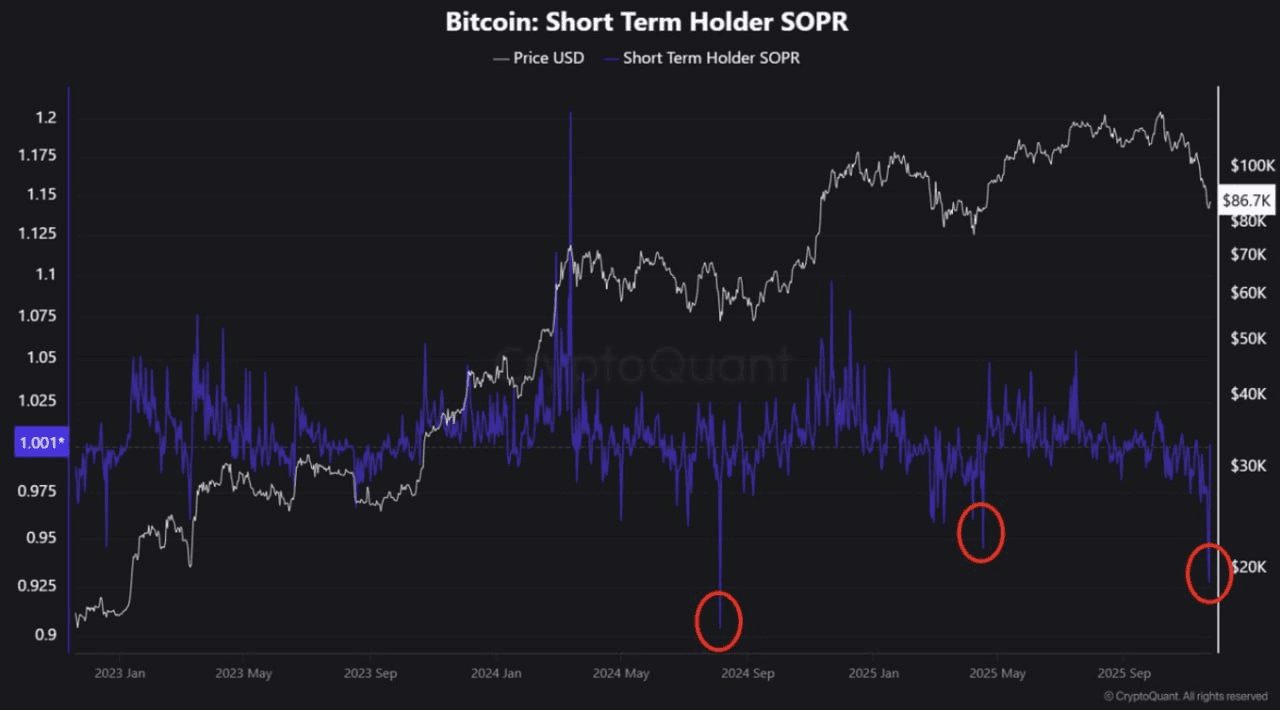 chavoonnam/34527/6134151646422961330