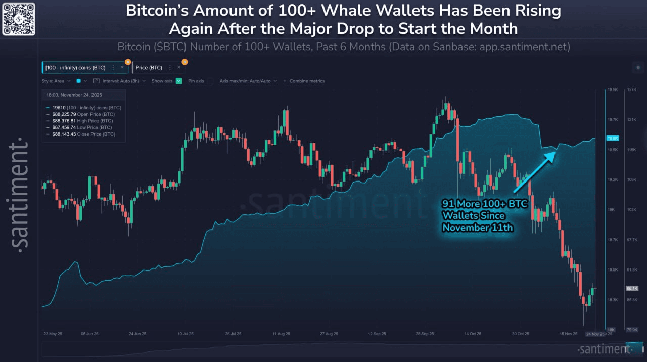 chavoonnam/34548/6138960802908670962