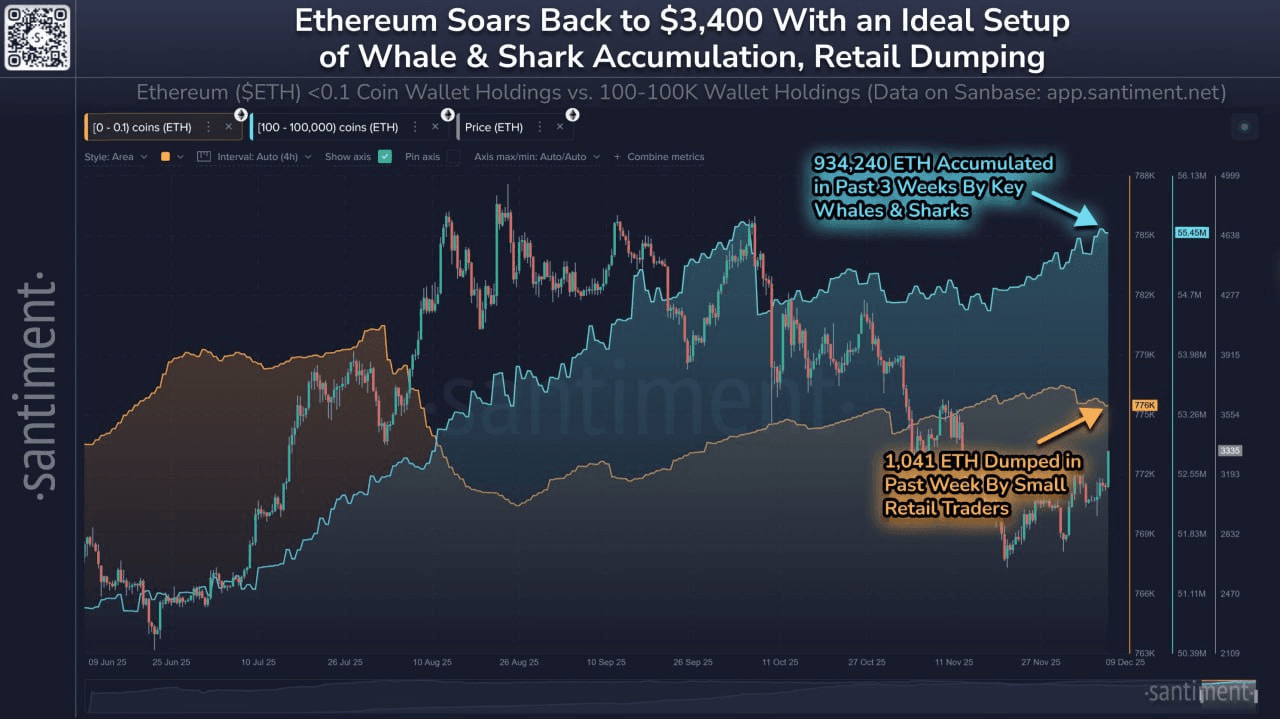 chavoonnam/34692/6183903091585911589