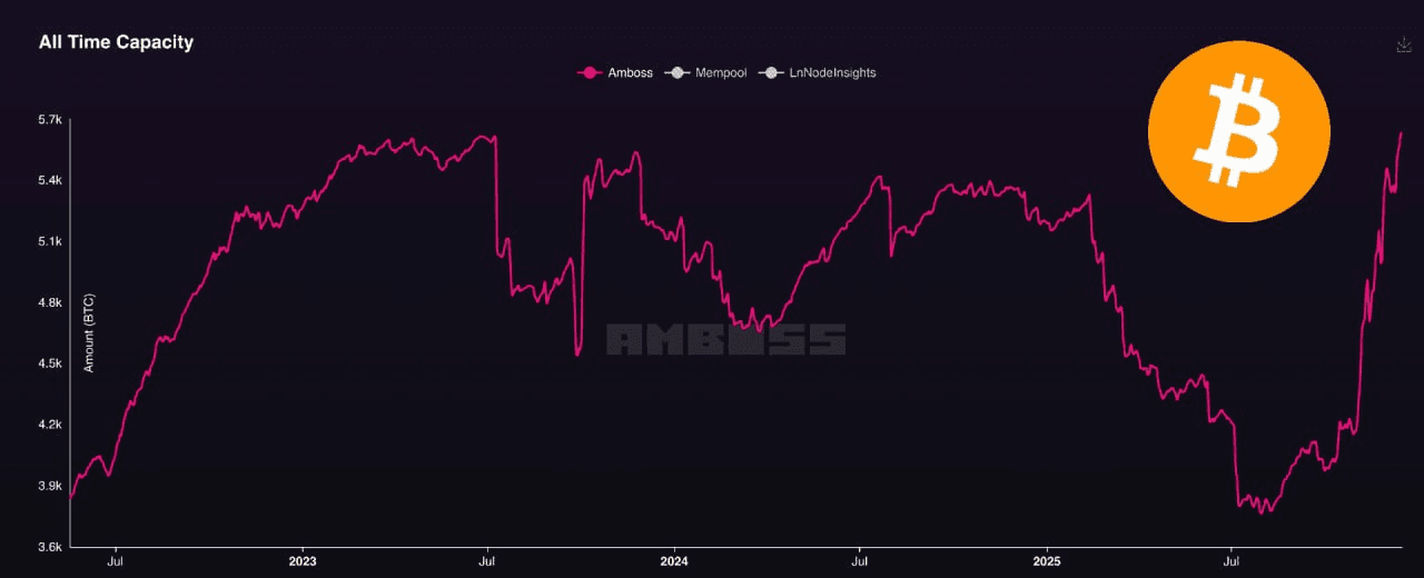 chavoonnam/34763/6201706023085607781
