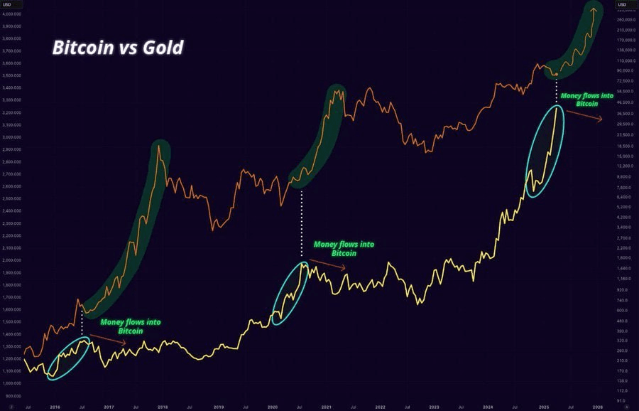 chavoonnam/35270/6312293343534190028