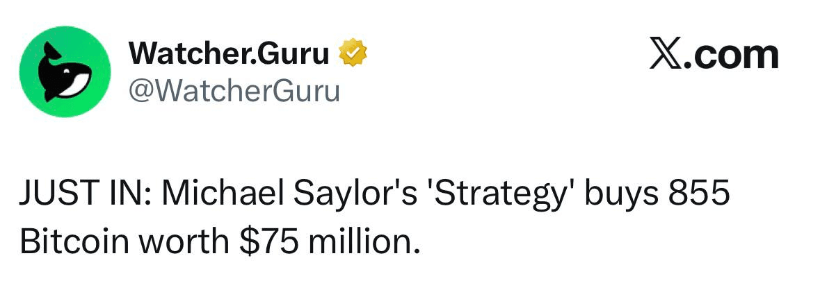 chavoonnam/35368/6055532282954583785