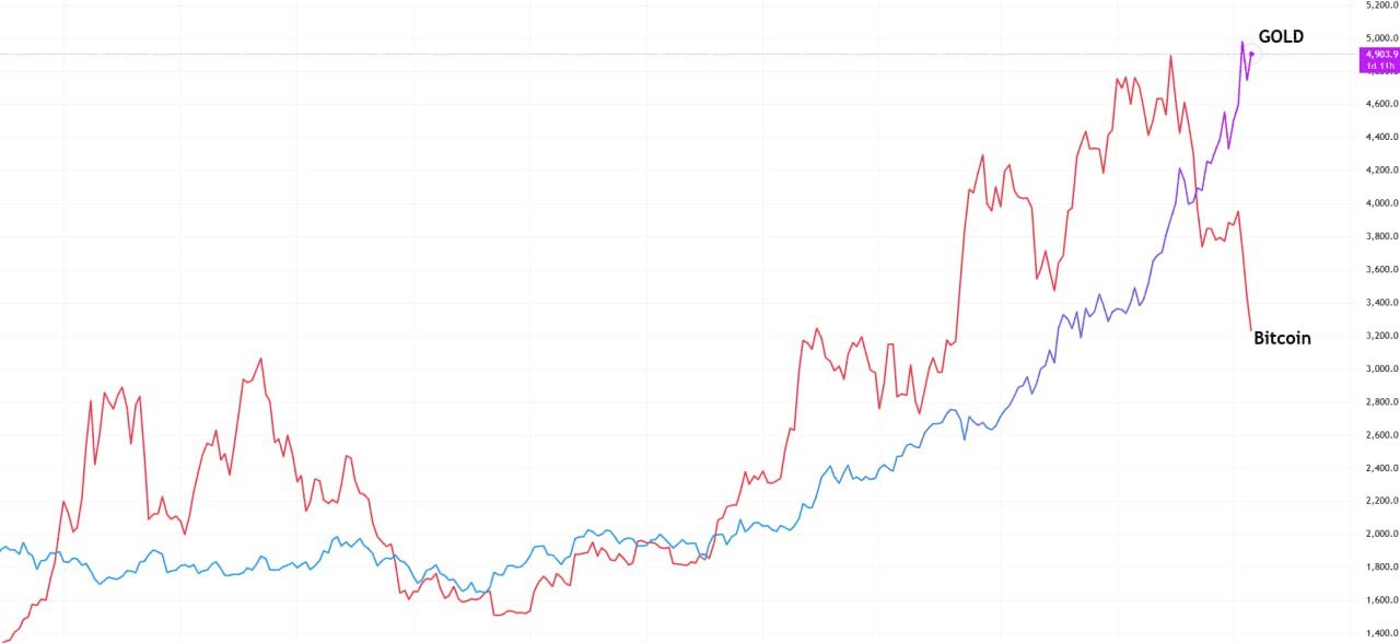 chavoonnam/35407/6064543128636558734