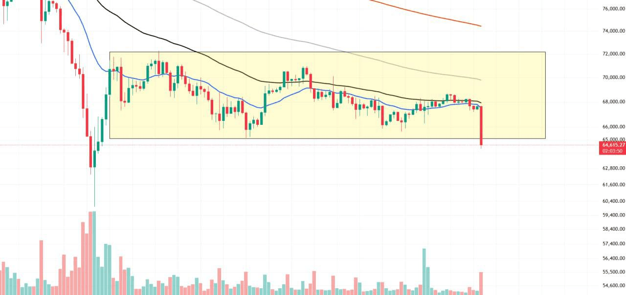 chavoonnam/35518/6113664858579471895