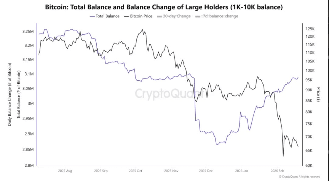 chavoonnam/35526/6115916658393157545