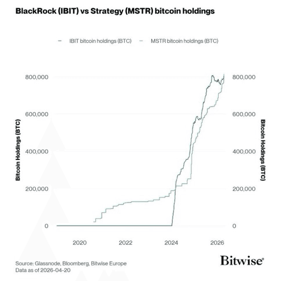 chavoonnam/36059/6282969918177219663