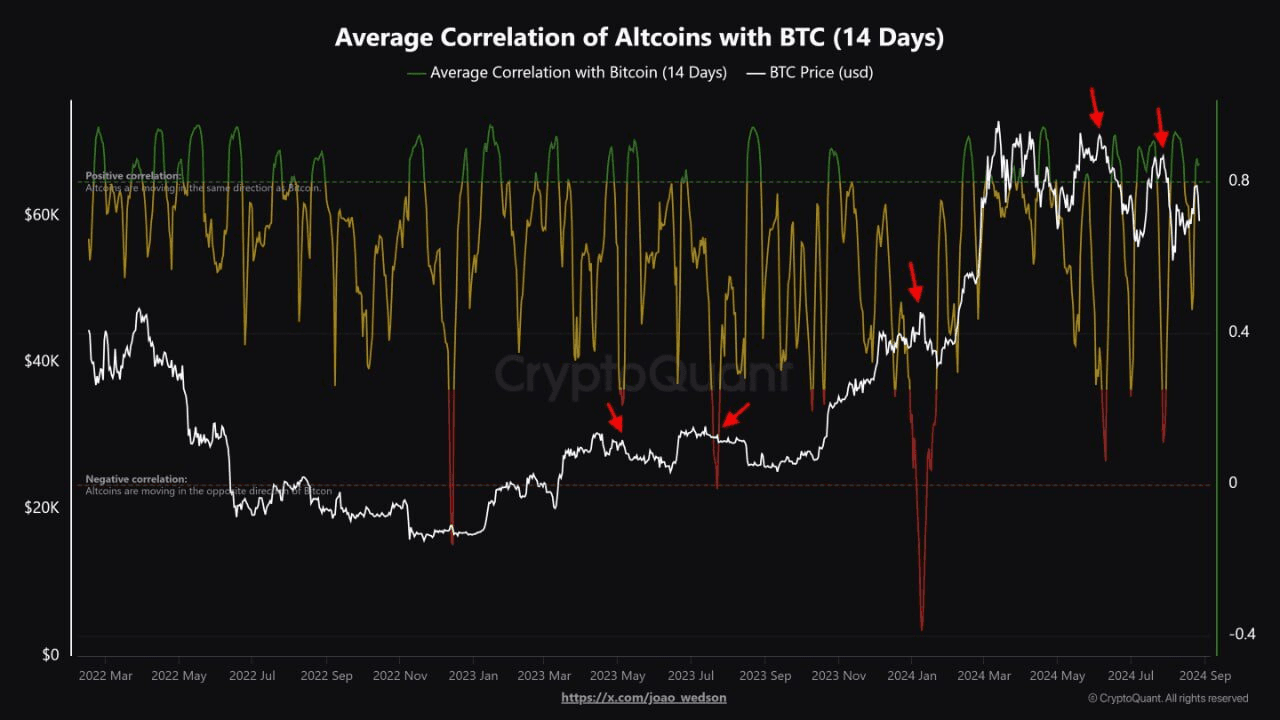 coincodekr/33923/5946415357440931106