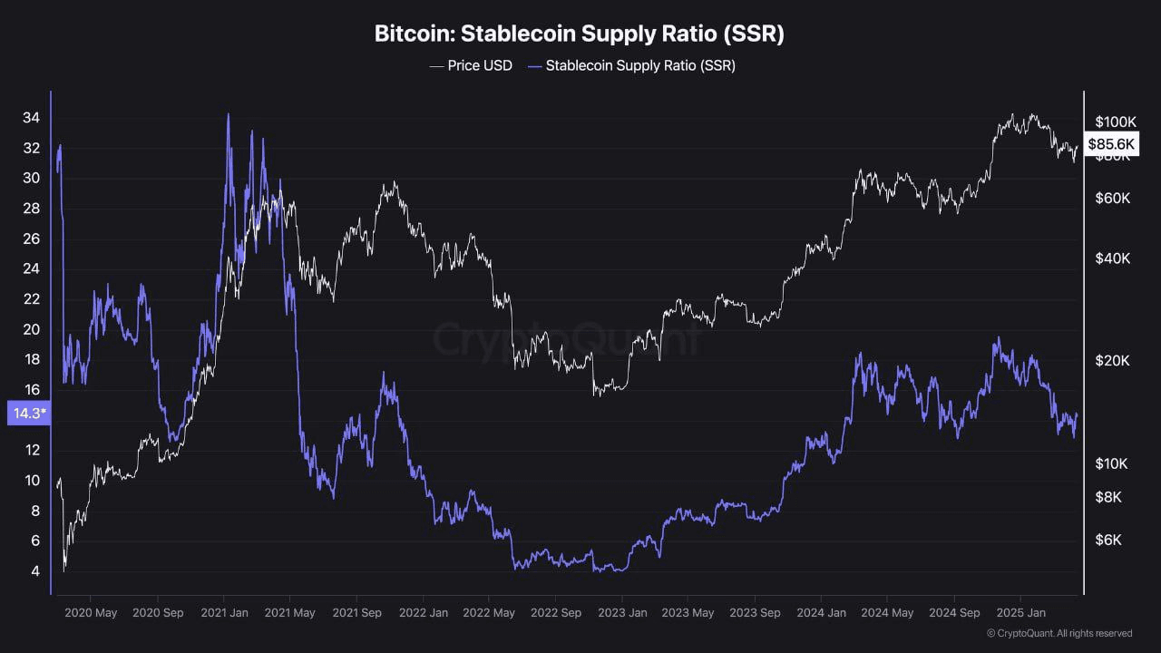 coinkcgchannel/63598/6336666746064324748