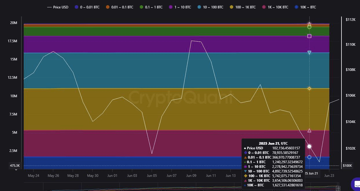 coinkcgchannel/66234/6257978431190976295