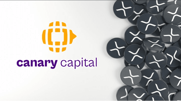 coinkcgchannel/70846/5775035175807945757