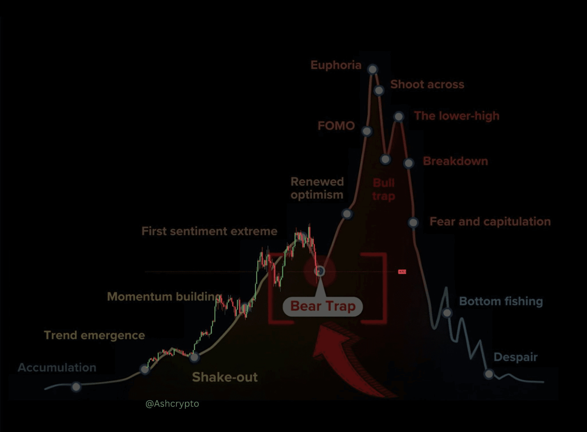 coinkcgchannel/72582/5885274092804443163