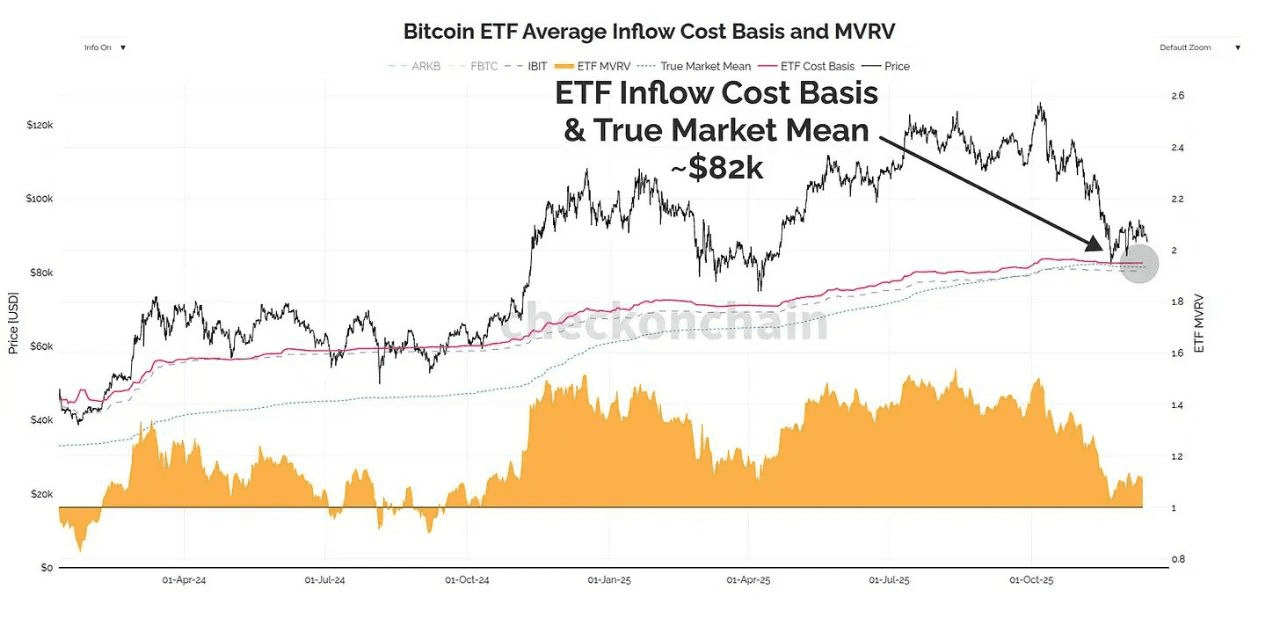 coinkcgchannel/73043/6201714050379484898