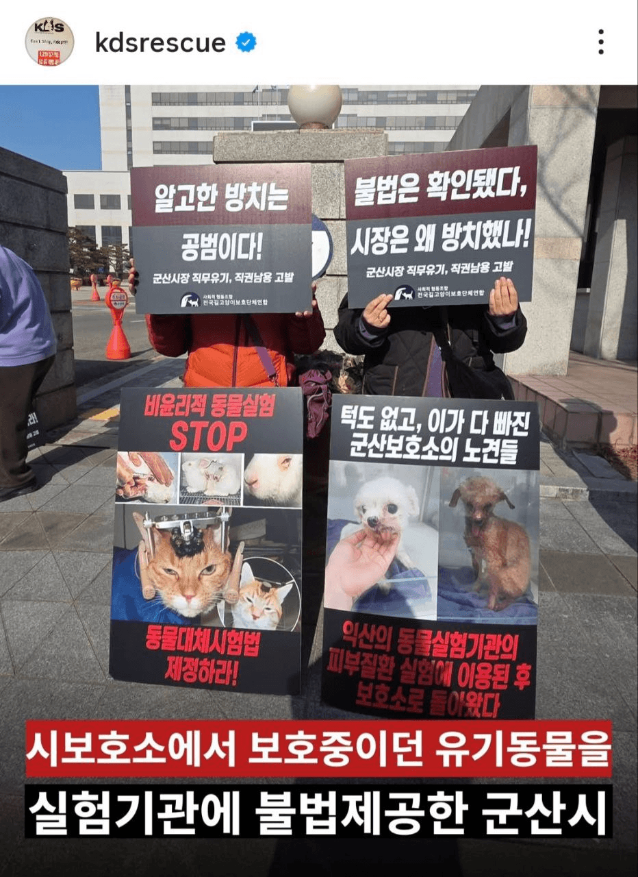 coinkcgchannel/74488/6293823072900942965