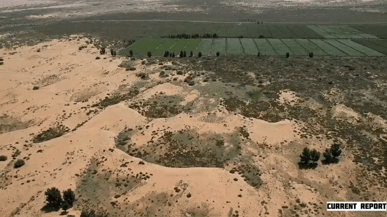 coinkcgchannel/75799/5788738148706749950