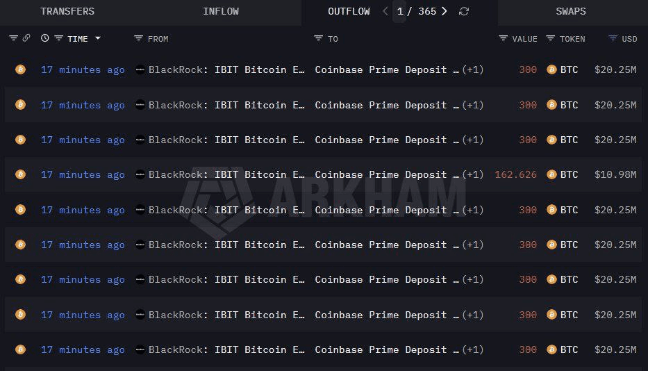 coinkcgchannel/76382/6106890462498066037