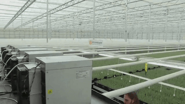 coinkcgchannel/77844/5894402066539547928