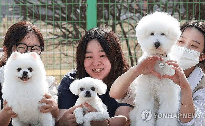 coinkcgchannel/78185/5912344949548584208