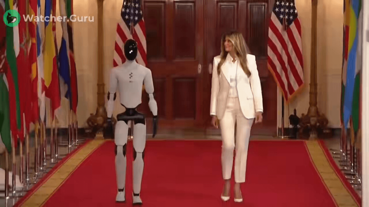 coinkcgchannel/78373/5919248190353902878